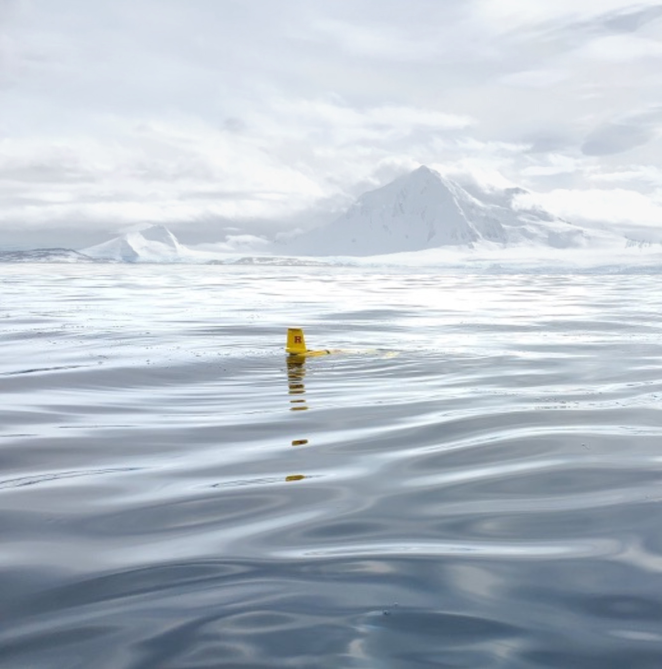 An ocean-observing instrument floating in calm Antarctic waters